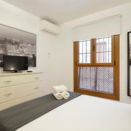 Global Calle Concepción - En Pleno Centro De Granada. Apartamento Granada